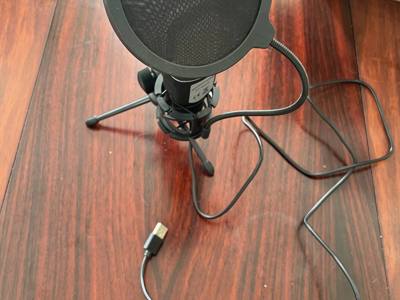 Condenser Microphone SF-666R - image 2